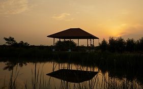 Blackbuck Safari Lodge Velavadar  3*