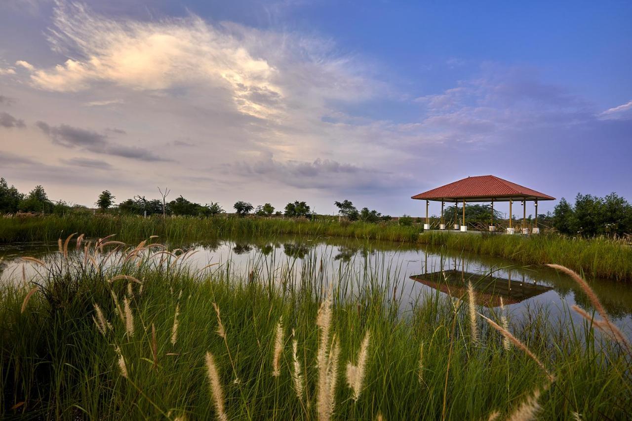 Blackbuck Safari Lodge Velavadar Bavliari Экстерьер фото