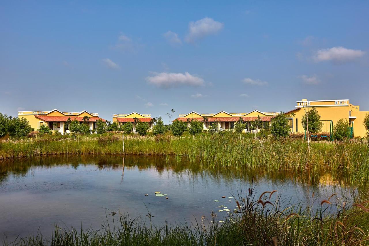 Blackbuck Safari Lodge Velavadar Bavliari Экстерьер фото
